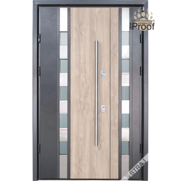 Вхідні двері Riva P SL Double