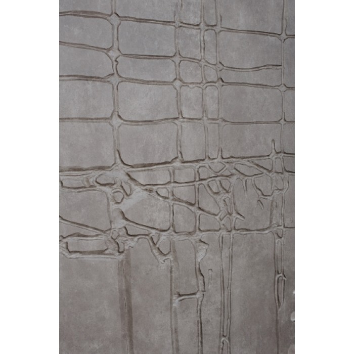 Вхідні двері Stone